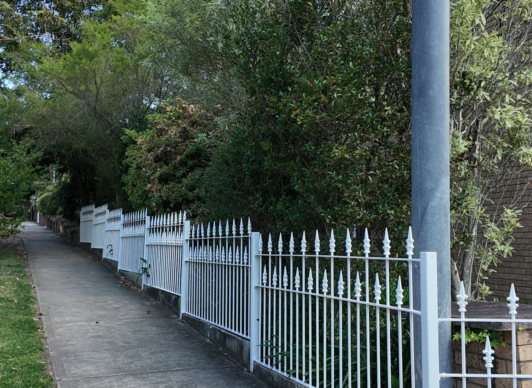 Professional fence painting Sydney - residential timber fence restoration